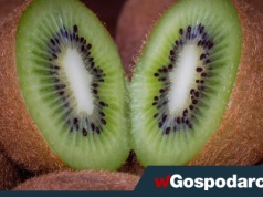 Sięgaj po ten owoc, kiedy czujesz się pełny