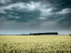 IMGW ostrzega: burze z silnymi opadami deszczu w znacznej części kraju