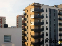 Za te same pieniądze kupisz kawalerkę w centrum albo… trzy pokoje w wielkiej płycie