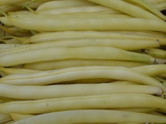 Jaka cena fasolki szparagowej na dzień dzisiejszy?