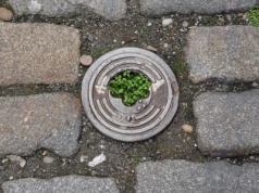 Remont kanalizacji bez zgody: czy rolnik może się sprzeciwić?