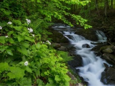 Ten wodospad był kiedyś w innym miejscu. Wyjątkowa atrakcja Bieszczad