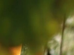 Biało Czerwone Winobranie. Zamek w Janowcu zaprasza na weekend