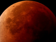 Krwawy Księżyc widoczny także w Tarnowie! Kiedy patrzeć w niebo?