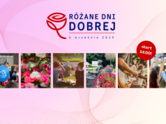 Święto róż w Dobrej