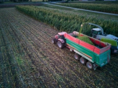 Jak przewozić zboże na przyczepie, by nie zapłacić kary?