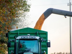 670 zł za suchą kukurydzę z nowych zbiorów. Aktualne ceny zbóż, kukurydzy i rzepaku z 4 września