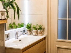 Te rośliny wciągają wilgoć jak gąbka. Pleśń nie ma z nimi szans. Są idealne do łazienki