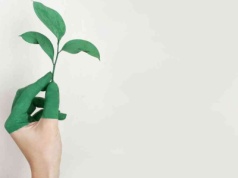 Jak zadbać o ekologię w codziennym życiu bez wielkich wyrzeczeń?