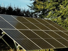 Energia znowu może być tania. Wystarczy postawić na właściwego konia