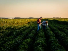 Rolnictwo wobec zmian i wyzwań. Zbliża się Kongres Nauk Rolniczych w Puławach