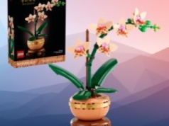 LEGO Botanicals Mała Orchidea za 69,99 zł (cena katalogowa 129,99 zł) w Amazon PL