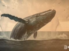 Które kryptowaluty wyszukują teraz wieloryby? Oto ich lista