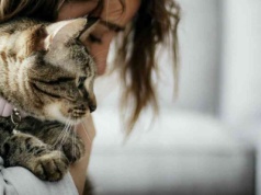Nie tylko urokliwe. Koty to domowi terapeuci