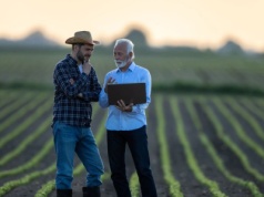 Błędy we wnioskach o dopłaty 2025. Rolnicy tracą przez nie pieniądze