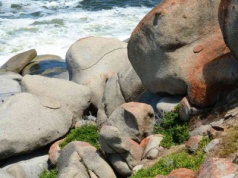 Skąd wziął się tlen w oceanach? Morskie skały kluczem do zagadki