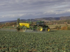 Odchwaszczanie i skracanie rzepaku w jednym zabiegu