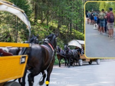 Przyjeżdżają w Tatry, żeby stać w kolejce do bryczek. 