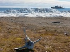 Rosja buduje bazę wojskową "na ziemi USA" w Arktyce