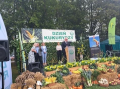 Najwięcej odmian kukurydzy w jednym miejscu! Dzień Kukurydzy to prawdziwe święto dla rolników z Podlasia