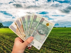 Rolnicy zapłacą więcej czy mniej? Rząd zmienia dopłaty do ubezpieczenia upraw