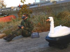 Bojowy łabędź z Polski. Drony w kształcie ptaków budowała również CIA