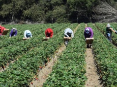 Tylu Polaków wyjeżdża za granicę do pracy. Czy nadal opłaca się jechać do Niemiec?