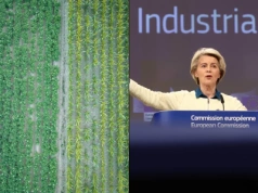 "Pestycydy – europejska hipokryzja". Skasowany film o "imperium chemii" w Mercosur