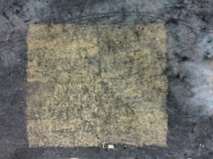 W PGG przetestowano nową metodę rekultywacji. Robi wrażenie