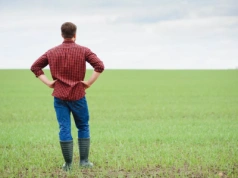 Szynka za 45 zł, a rolnik dostaje 6 zł. Cała prawda o cenach żywności