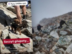 Wspinał się na najwyższy szczyt Polski z... yorkiem. "Ludzka głupota nie zna granic"