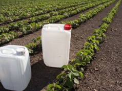 Rekordowa zbiórka opakowań po ś.o.r. w Systemie PSOR