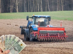 Ceny usług rolniczych: ile za siew we wrześniu 2025?