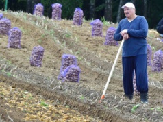 Łukaszenka zaskoczył prezentami. Przywódcy dostali worki ziemniaków