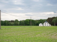 Kiedy wygasa status gospodarstwa rolnego?