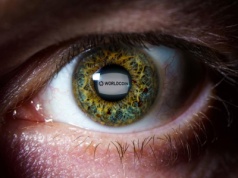 Akcje spółki z USA zyskały 3000% w dzień. Firma kupi kryptowalutę twórcy ChatGPT