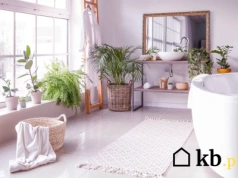 Te rośliny ożywią każdą łazienkę! Znasz te gatunki?