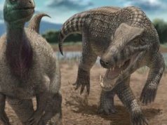 Był zagrożeniem dla dinozaurów. Jego potomkowie żyją w USA