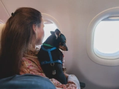 Te linie są najbardziej przyjazne zwierzętom. Jak wypadły Ryanair i LOT?