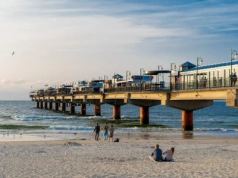 Plaga insektów nad polskim morzem. „Wieczorne spacery niemożliwe”