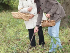 „Białe grzyby na łące” wyrokiem śmierci. Kobieta nie żyje