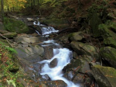 Jesienny cud natury i idealny cel weekendowej wycieczki. Rzuć wszystko i jedź w Bieszczady!