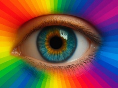 Widzimy kolory tak samo? Naukowcy w końcu mają odpowiedź