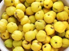 Nastaw witaminową bombę na sok, a potem zrób dodatkowe słoiki. Podziękujesz sobie zimą za to dobro