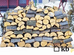 Palisz takim drewnem? Straż miejska zarabia krocie na mandatach