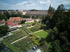 Rewitalizacja ogrodu Krafferów. Przywrócono mu dawną świetność