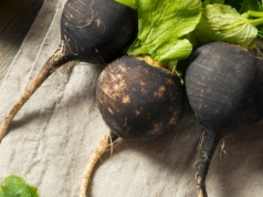 Wspiera regenerację wątroby, obniża cholesterol. Zapomniana czarna rzepa to genialne warzywo