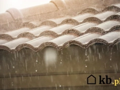 Kontrola bez wchodzenia na posesję – urzędnik sprawdzi ten element domu na odległość. Kara? 10 000 zł