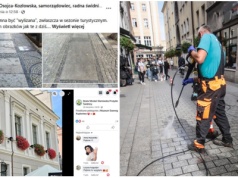 Prezydent patrzyła na kwiatki, radna pod nogi. Łukowa doczekała się mycia [FOTO]