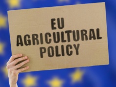 Wspólna Polityka Rolna do zmiany? UE szykuje kolejne uproszczenia